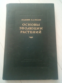 ������ �.�. ������ �������� ��������