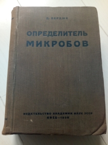 ������ �. ������������ ��������