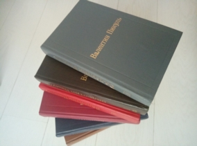 ������ �. ��������� ������������ � 12 �����