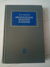 �������� �.�. ����������� ������� � ������