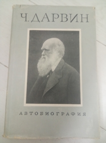 ������ �. �������������. ������������ � �������� ����� ��� � ���������. ������� ������ � �����