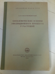 �������������� �.�. ������������� ������ ������������� �������� � ��������