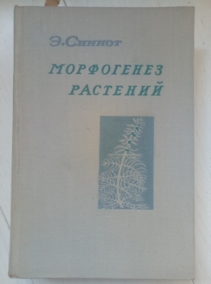 ������ �. ���������� ��������