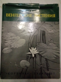 ����� �. ���������� ��������