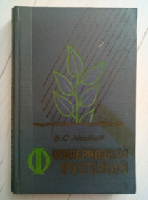 ������ �.�. ������������� ��������