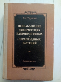 ������ �.�. ������������� ������������ �������-������� � ������������ ��������