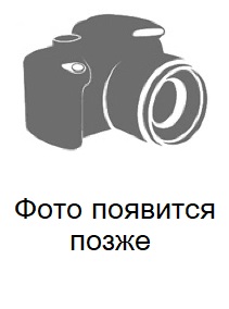 �������� �.�. ������