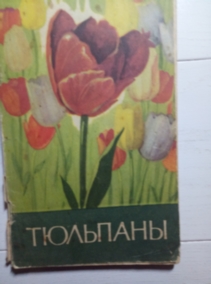 �����������, �.�. ��������